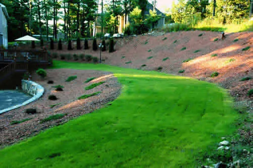 work photo from serviziolandscaping.com
