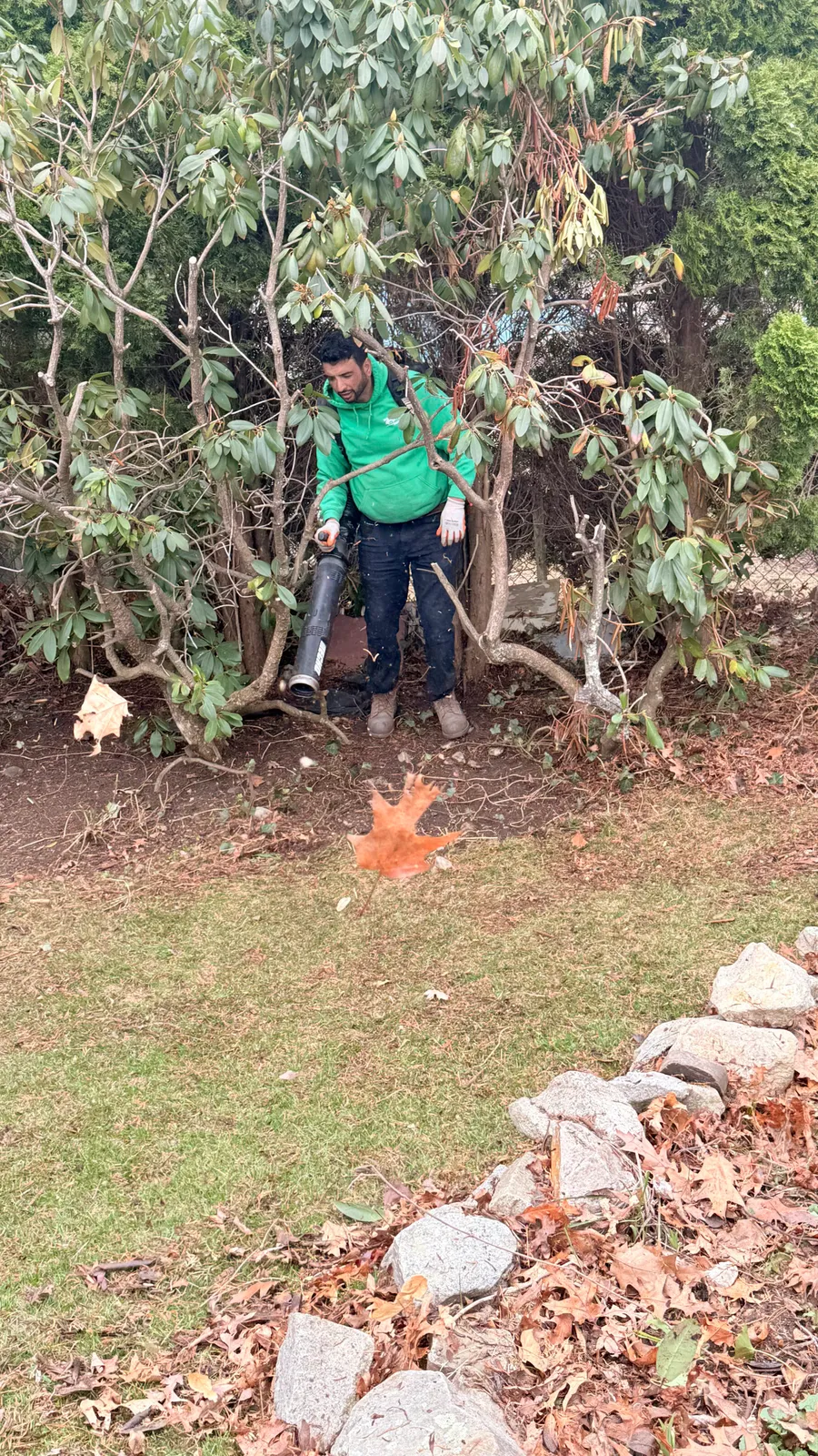 work photo from Google listing