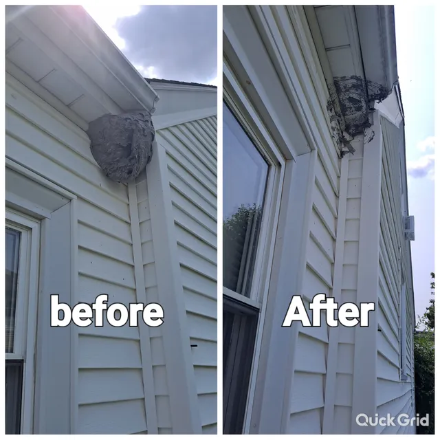 Dominion Pest Control work photo
