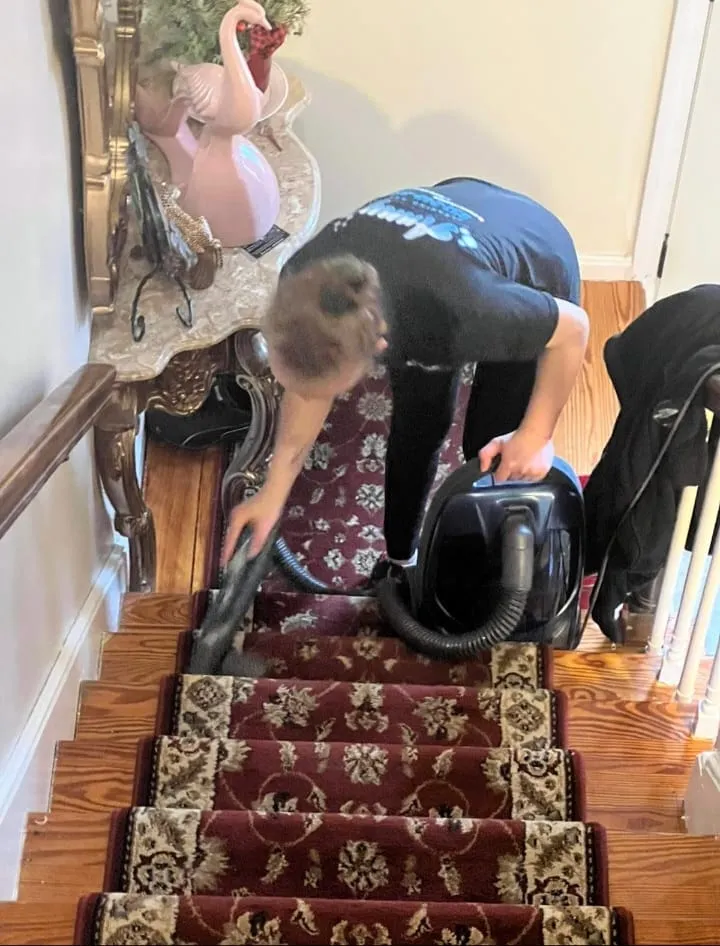 Anny's cleaning and service