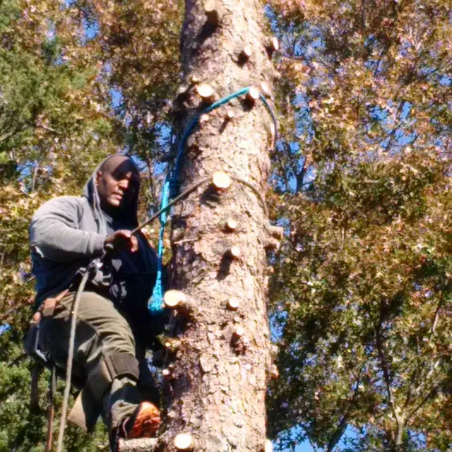 Ross Tree and Contracting Inc work photo