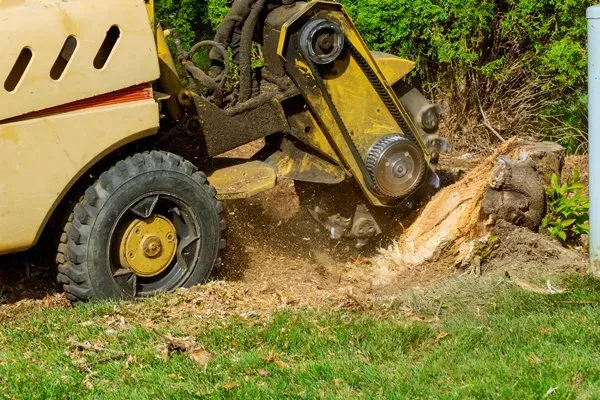 Stump Grinding — Fremont, NH — Bolduc Tree Service