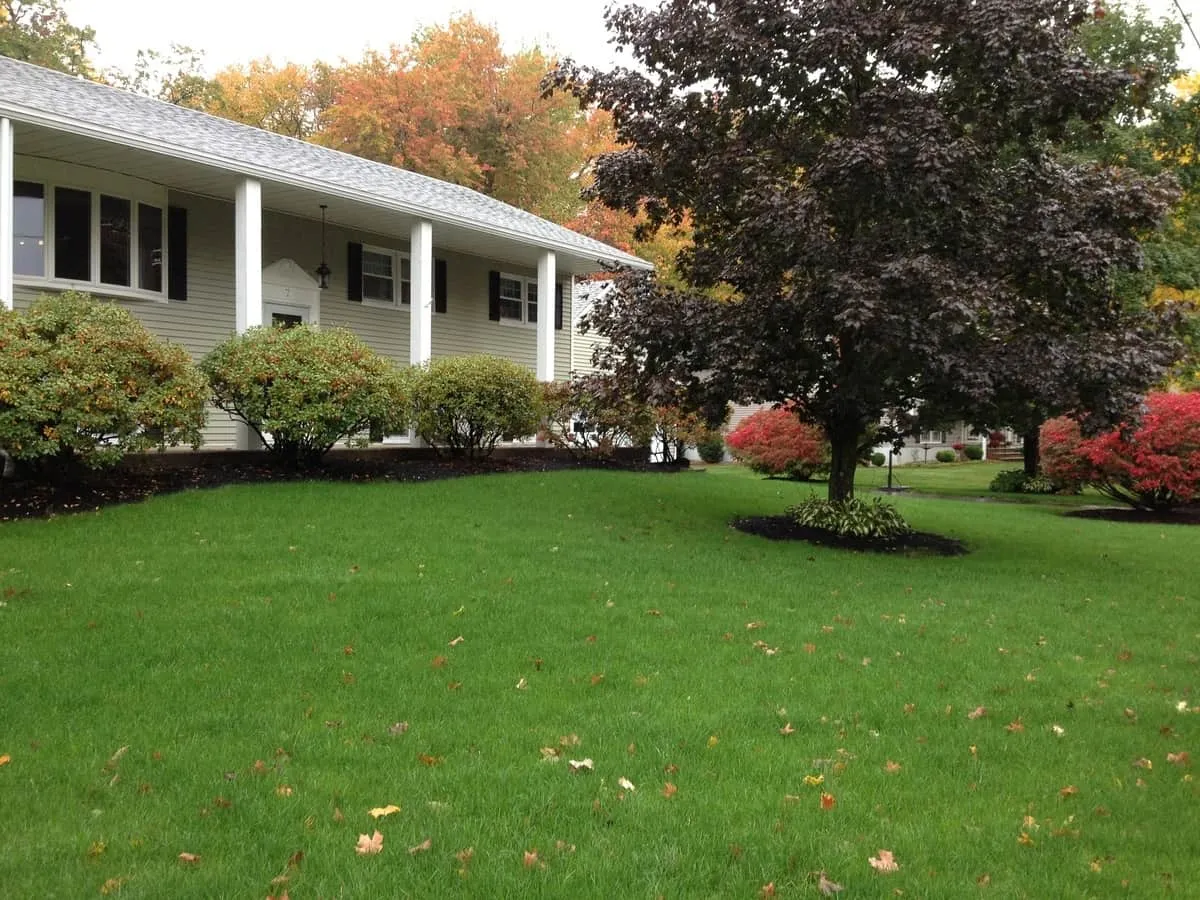 work photo from randalllandscaping.com