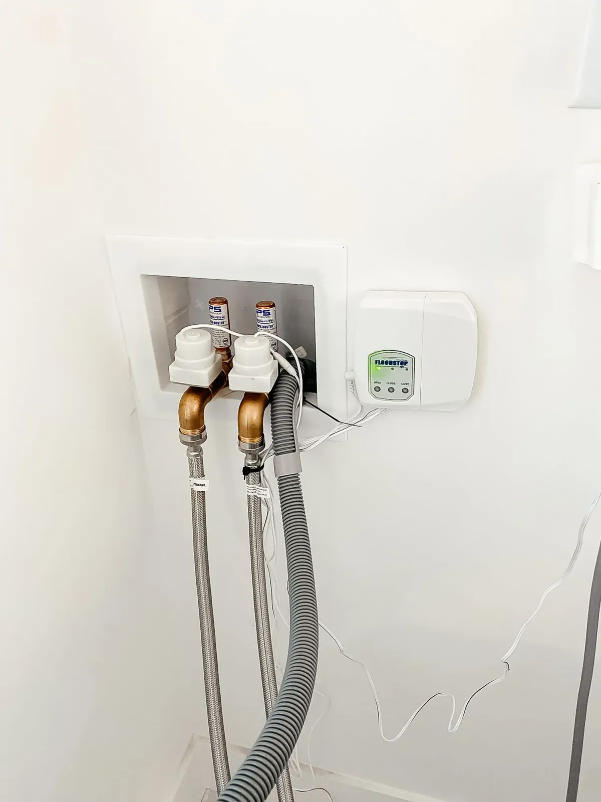 A close up of a washer and dryer hose attached to a wall.