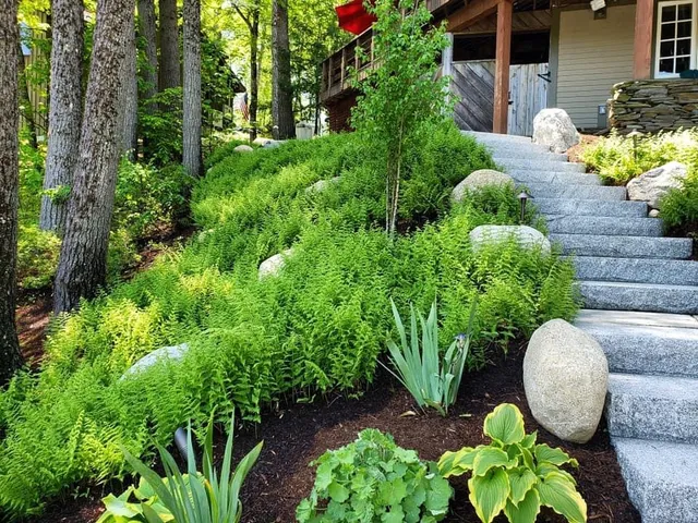 Stephens Landscaping Professionals work photo