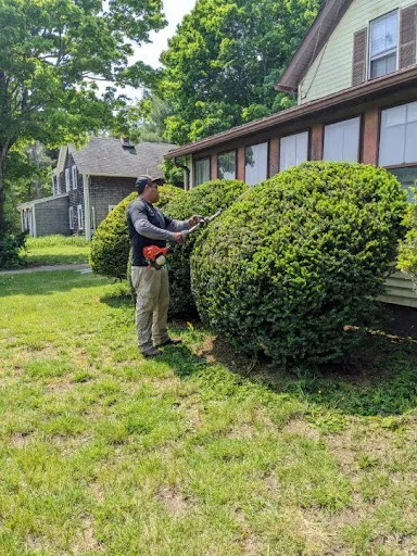 work photo from rilawncare.com