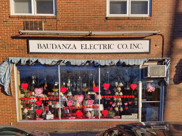 Baudanza Electric Co Inc work photo