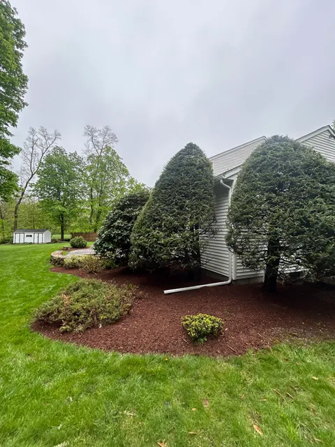 Sciuto Property Maintenance LLC work photo