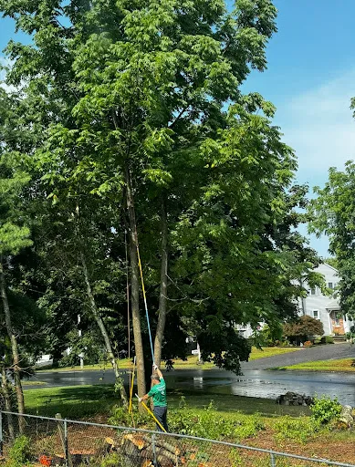 Review photo by Dave Filipiak