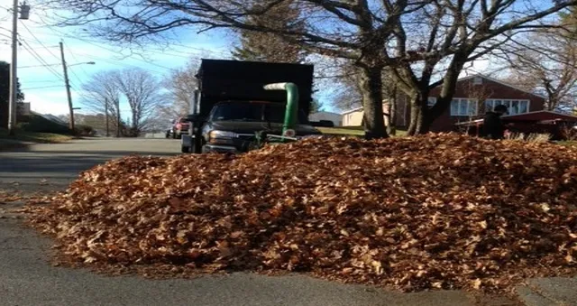 Spring, Summer & Fall Cleanup