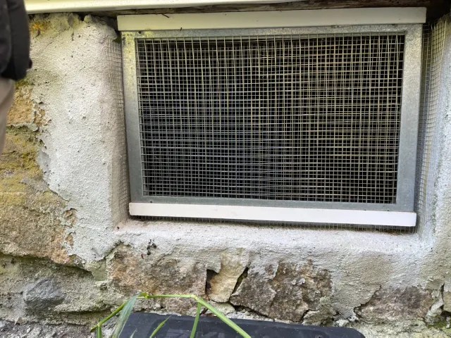 S and M Pest Services work photo