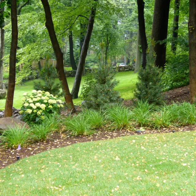 work photo from cutnedgelandscaping.com