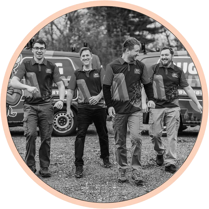 Pest and rodent control team in massachusetts