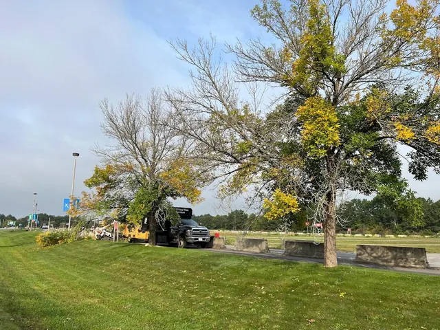 work photo from ethicaltreeservices.com