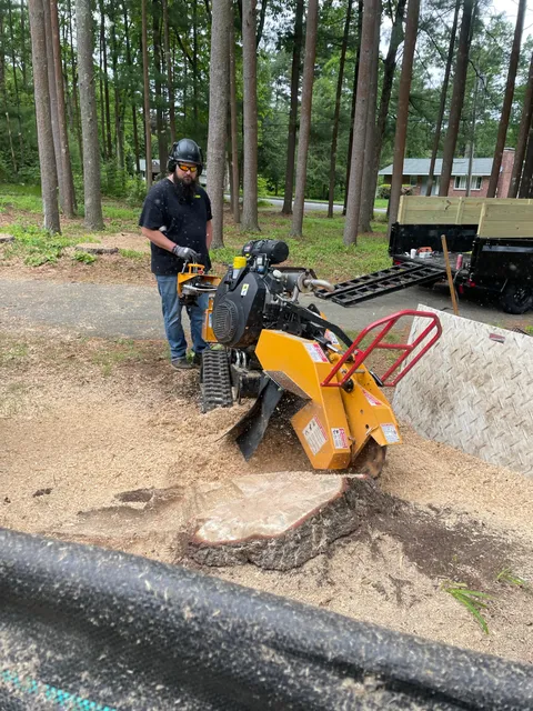 ENR-TREE work photo