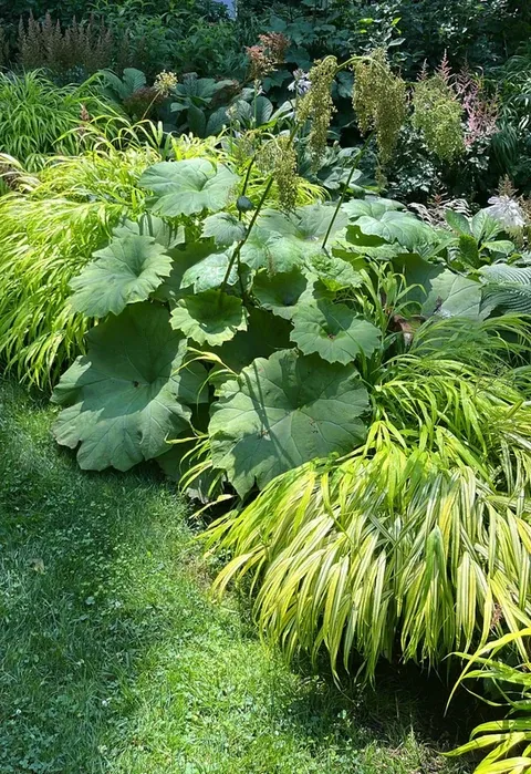 work photo from gordonsgardens.com