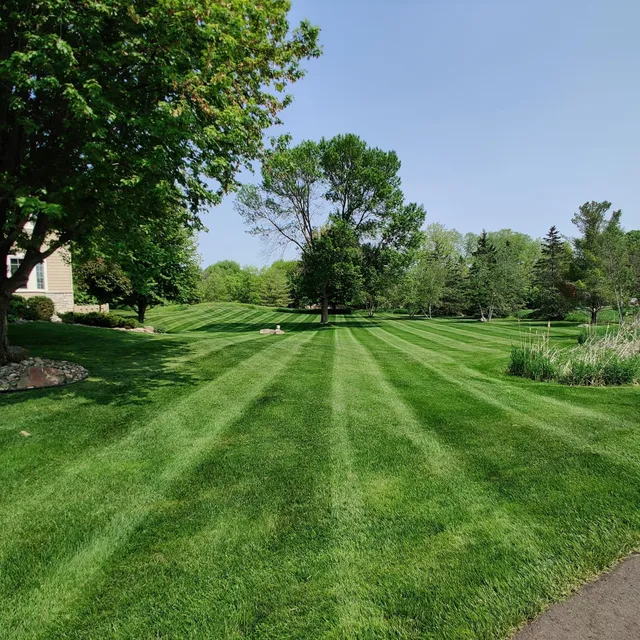 Oaxaca Landscaping LLC work photo
