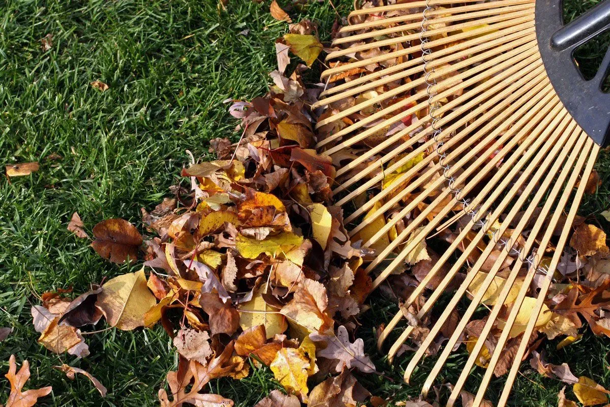 lawn care