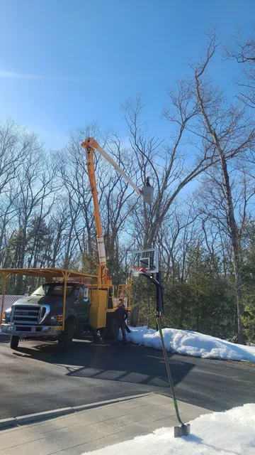 R.W. Emmott Arborist, Inc. work photo