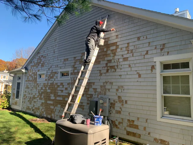 work photo from osnpainting.com