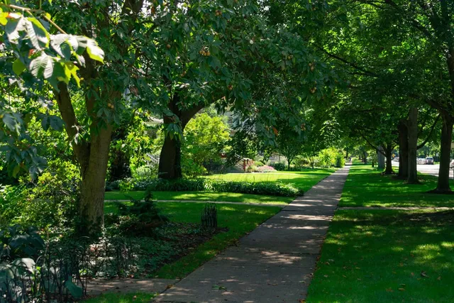 work photo from arborcarespecialists.com
