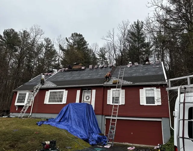 Chris Battaini Roofing - Workers are installing shingles on the roof of a red house with multiple ladders and a blue tarp on the lawn. Tall trees are in the background.