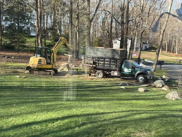 Vibbert's Tree & Yard Specialists work photo