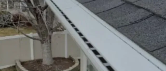 gutter leaf sentry.jpg