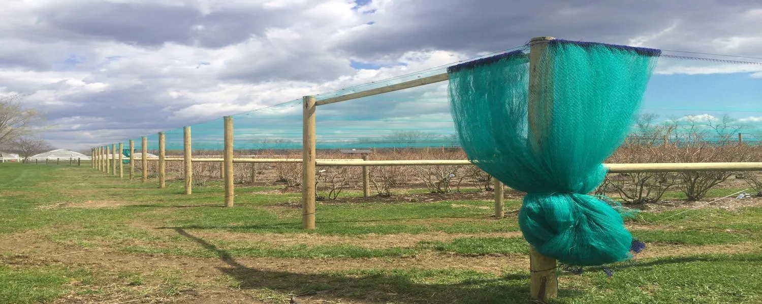 work photo from rivervalleyfencing.com