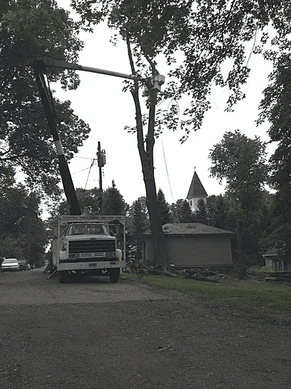 Tree Service Danbury, CT
