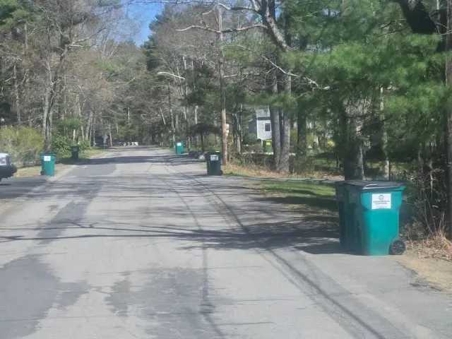 Tree-lined suburban street with green trash bins along the roadside