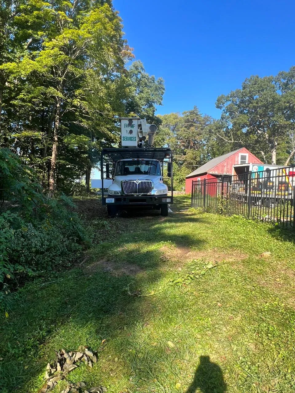 work photo from franktreeservicesandlandscapinginc.us