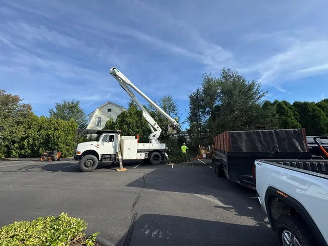 Bucket truck with the boom raised, a loaded dump trailer and a pickup arranged in a paved lot with cones set out
