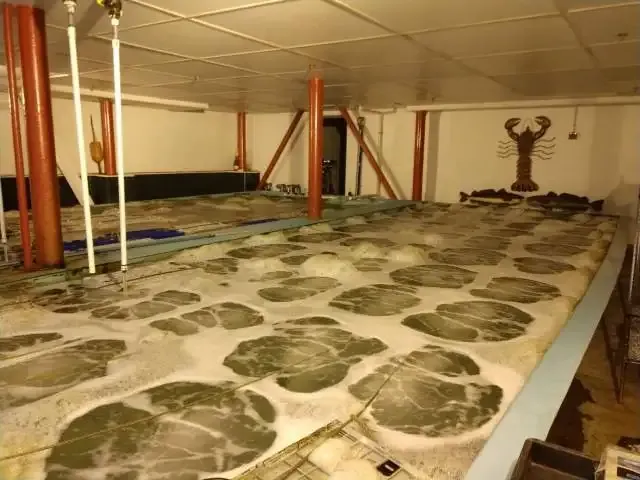 work photo from acdrefrigeration.com