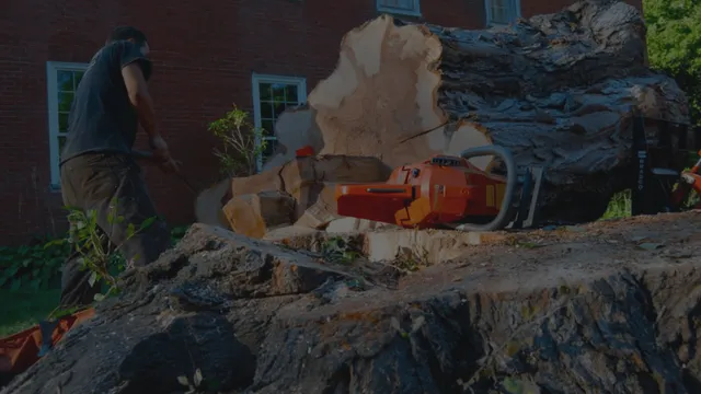 work photo from dcwoodservices.com