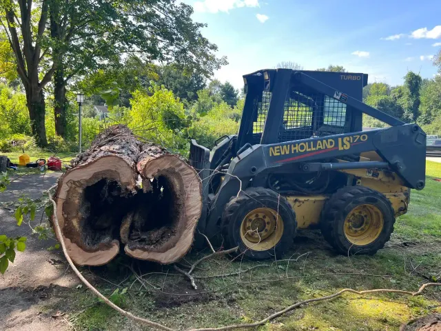 work photo from emltreeservices.com