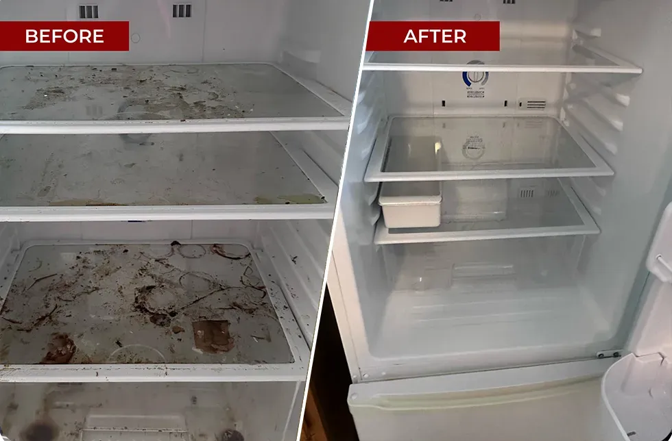 Before & After