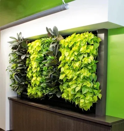 Wall plant design decoration