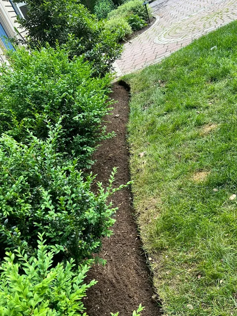work photo from dsjlandscaping.com