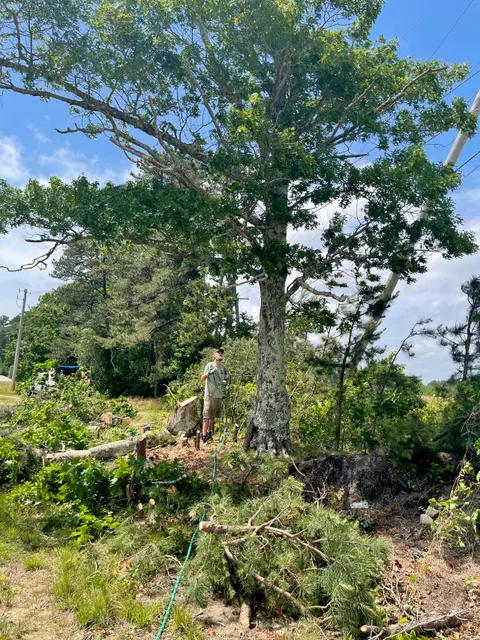 Tj & Sons Landscaping work photo