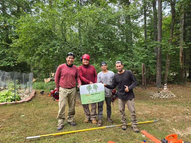 Rojas Tree Service work photo