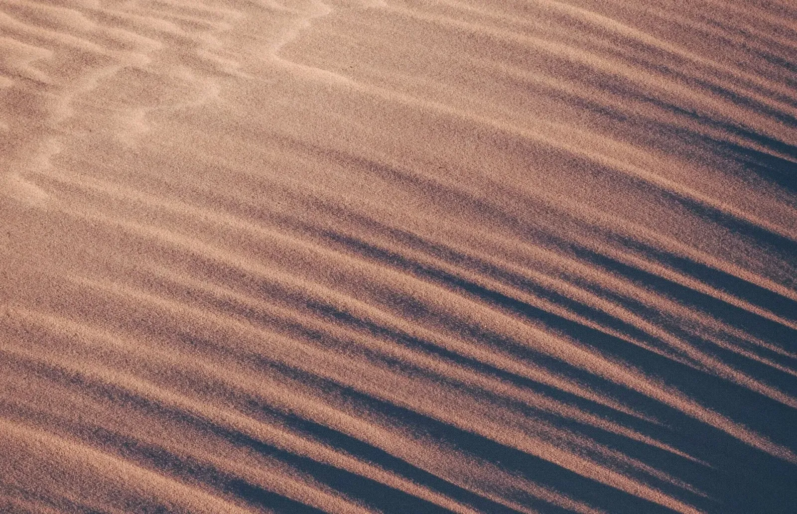 Sand dunes with curved shadows from sunlight.
