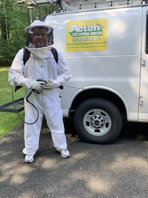 Acton Pest Control Services work photo