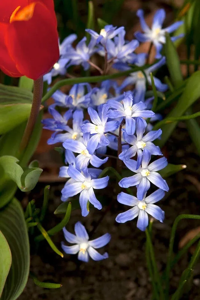 Web-Banner3.jpg