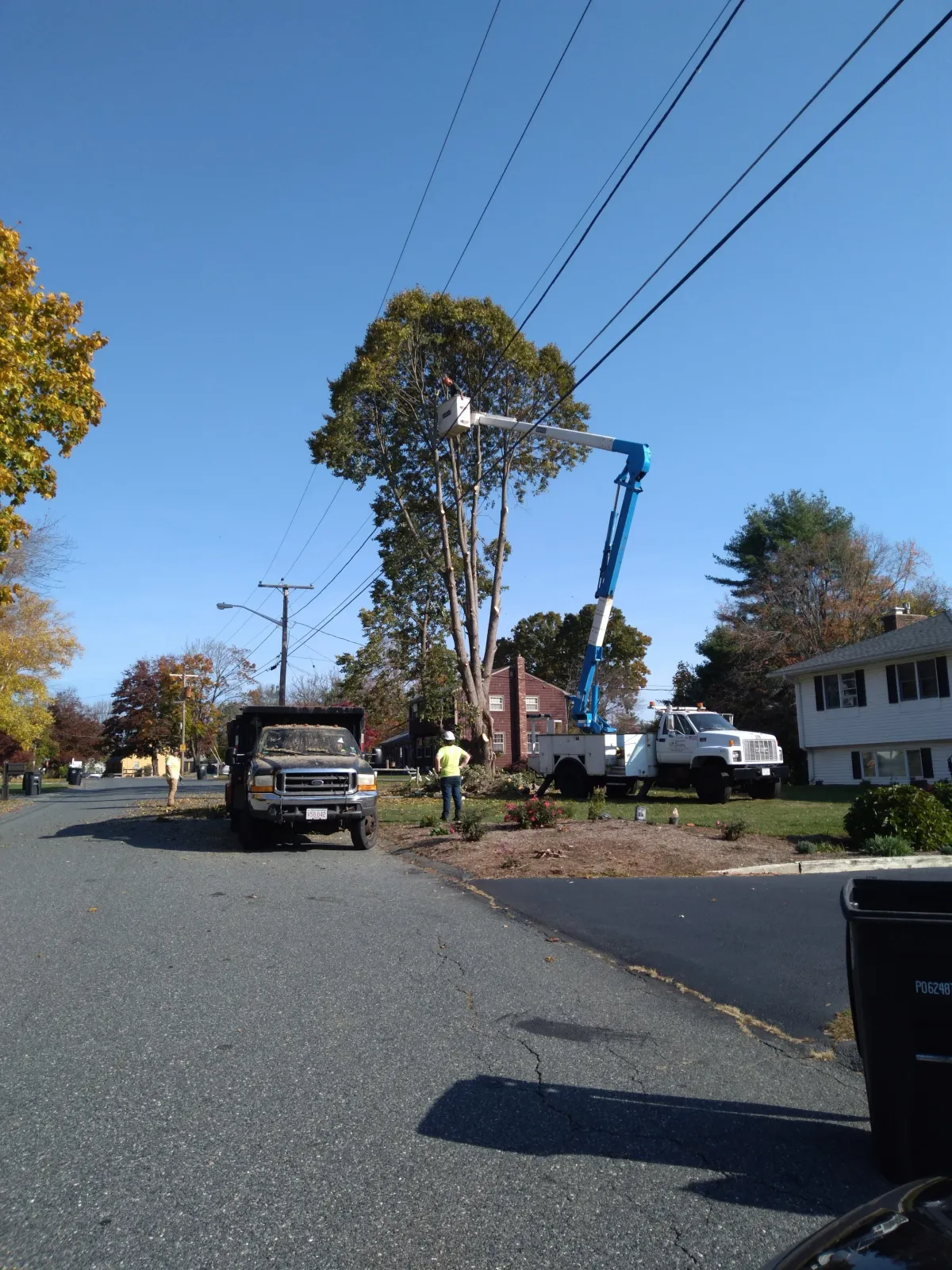 Workers trimming tree branches with a bucket truck on a residential street under a clear blue sky.