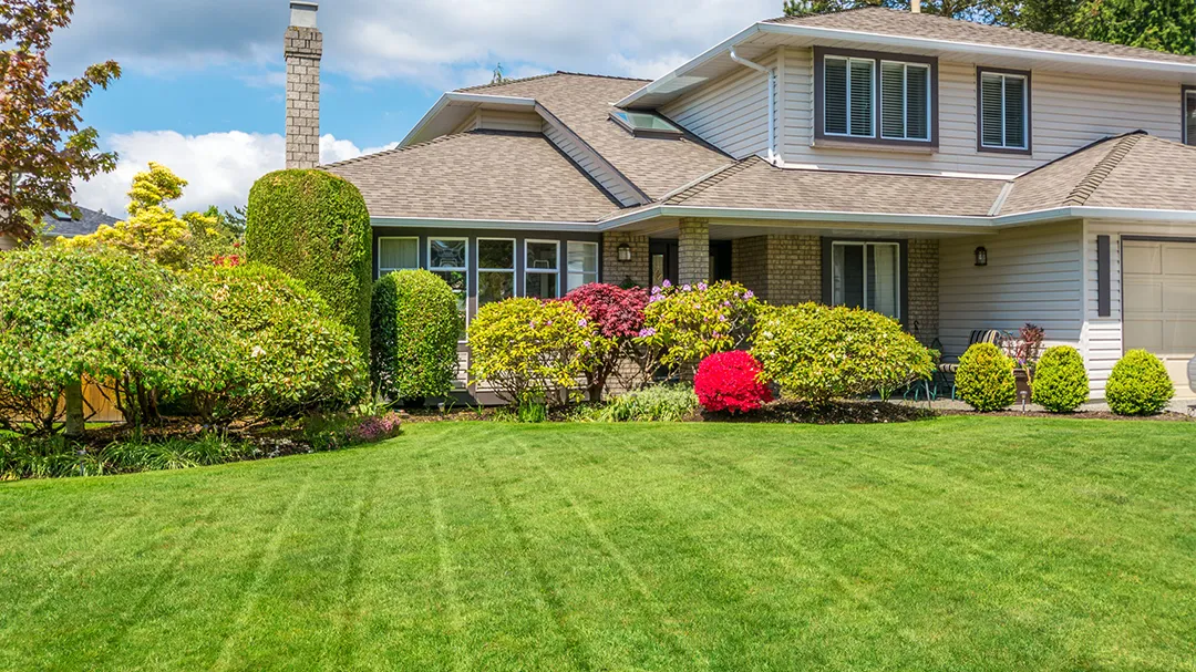 Bay View Landscaping