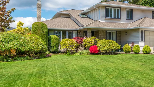 Bay View Landscaping