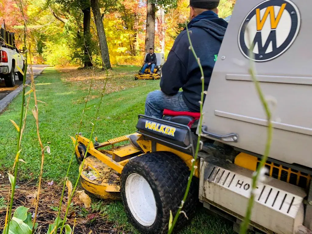 work photo from juniorlandscapingbedford.com