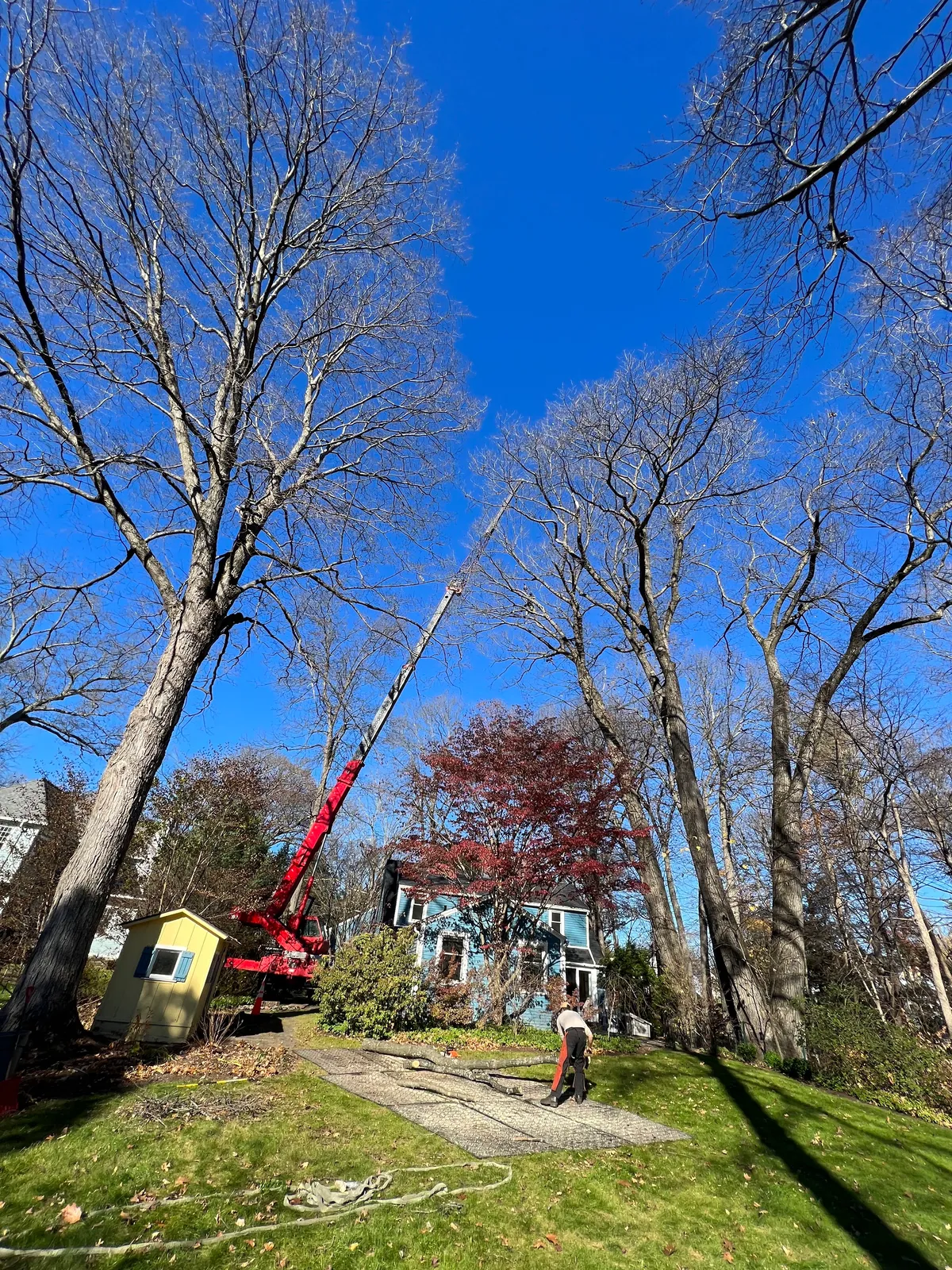 work photo from Google listing