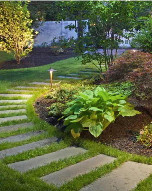 A garden path with stone steps winds through lush greenery, including ferns and shrubs. A small lamp illuminates the path, bordered by a neatly manicured lawn. Trees and a white fence are visible in the background.